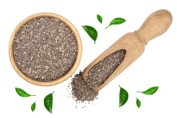 Chia seeds in wooden bowl and scoop decorated with green leaves